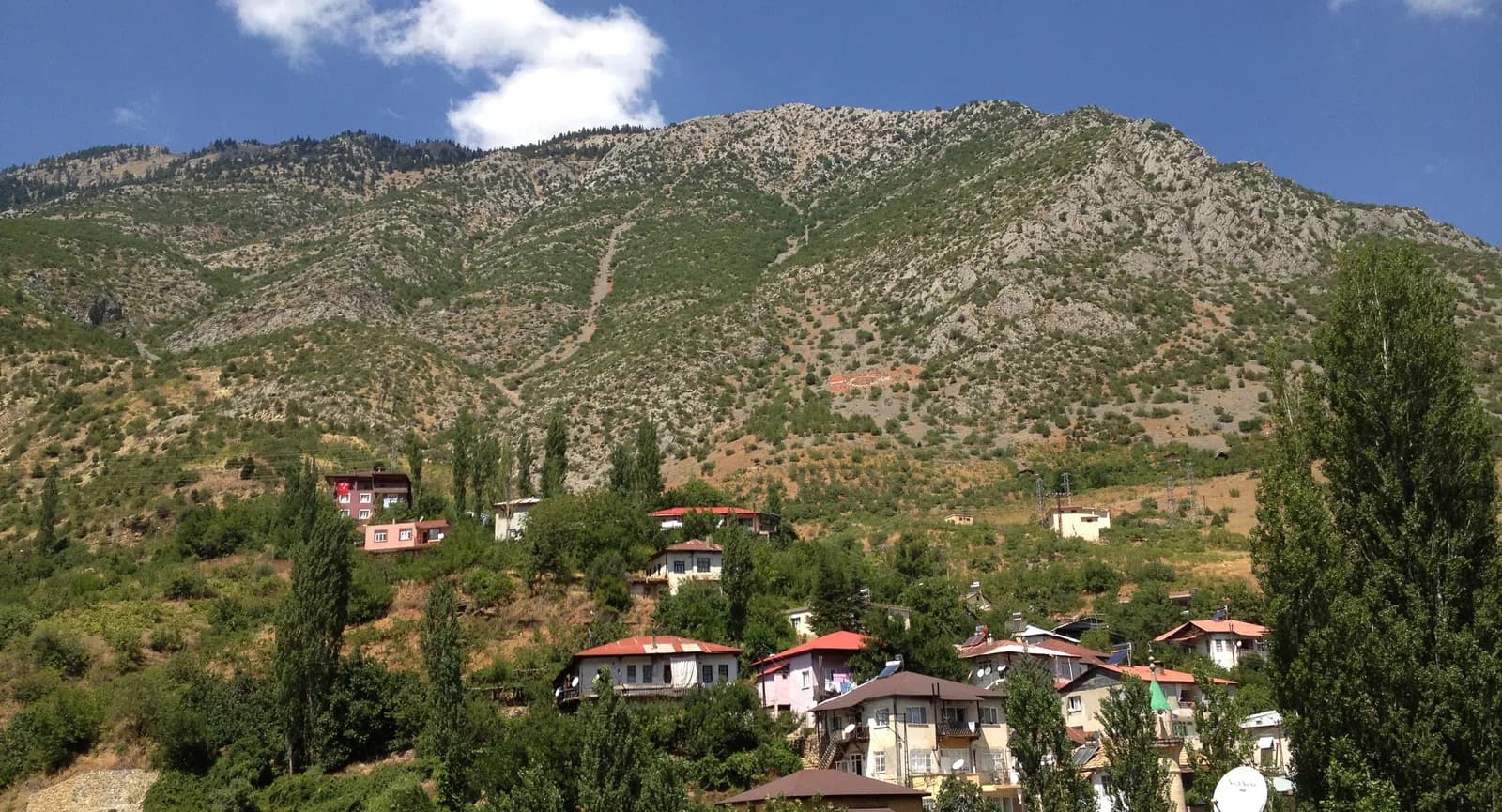 Saimbeyli district