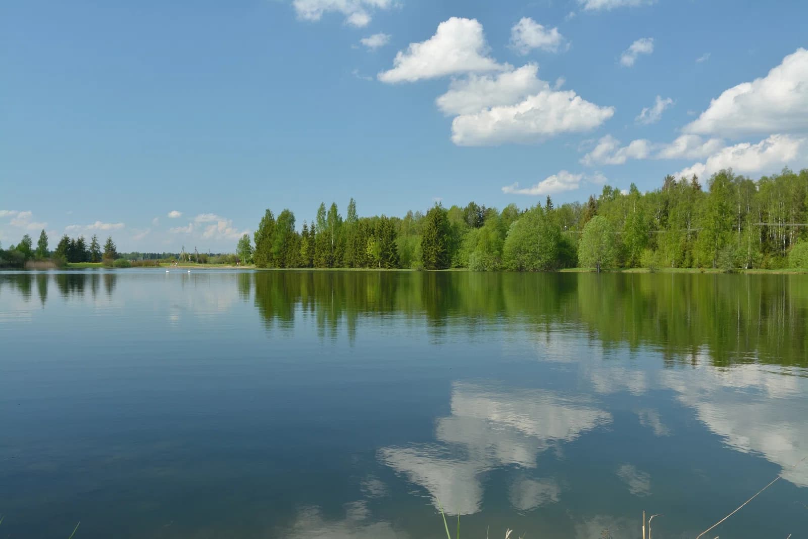 Pajusi Rural Municipality