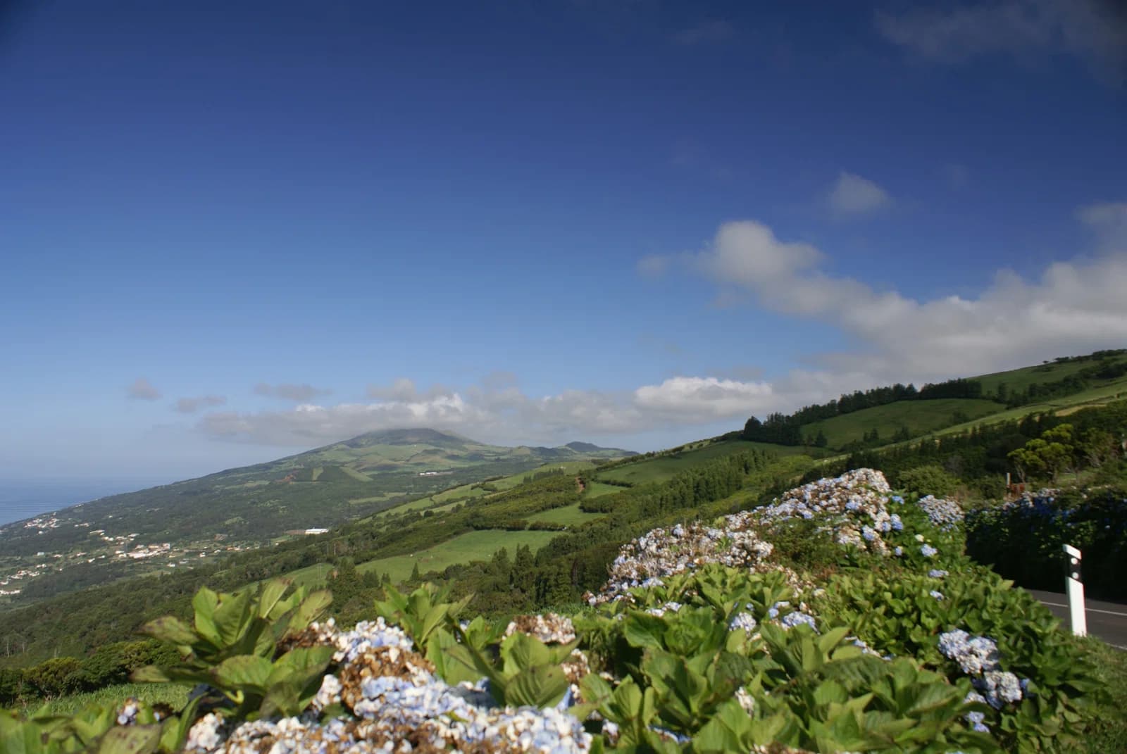 Calheta