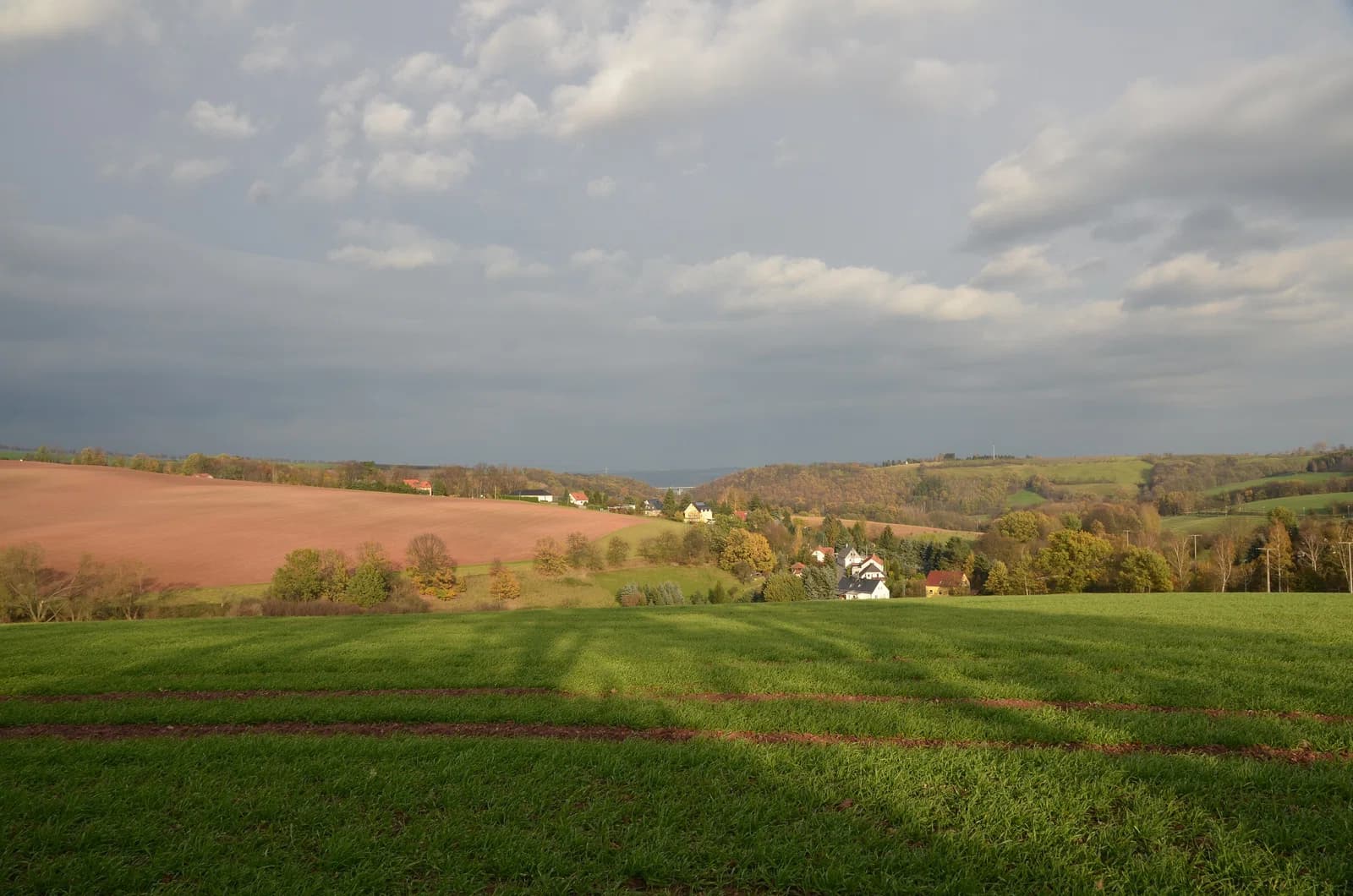 Bärenklause