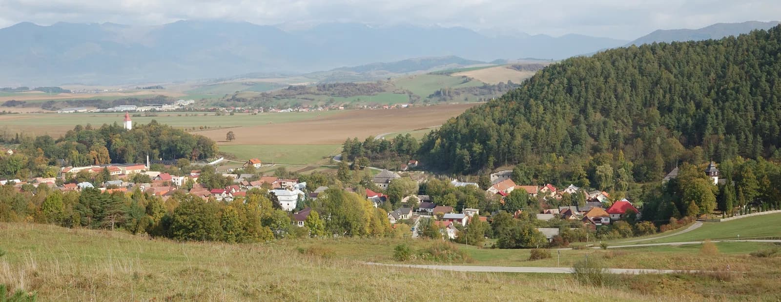 Necpaly