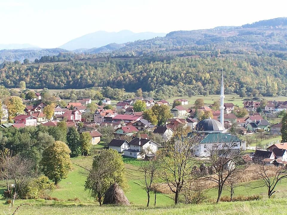 Sanica