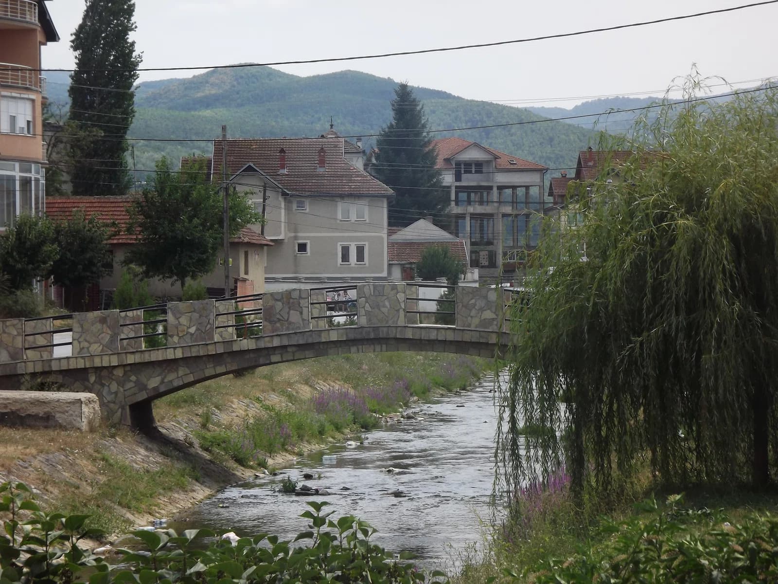 Viti