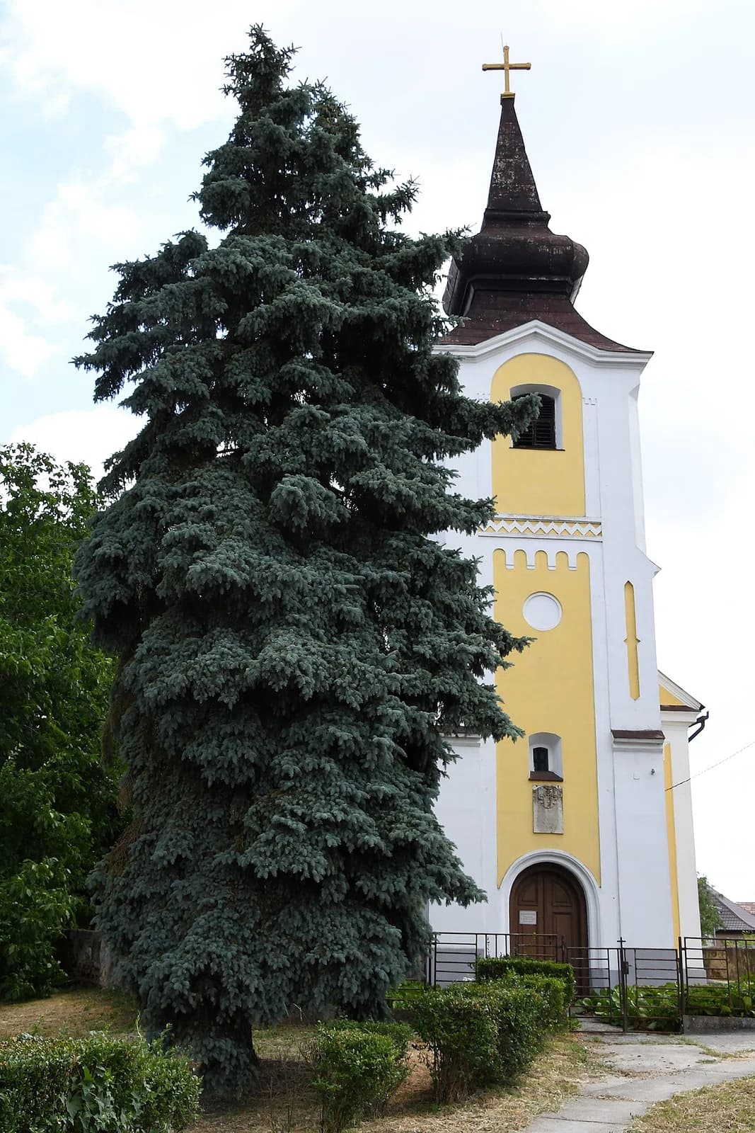 Mezőpeterd