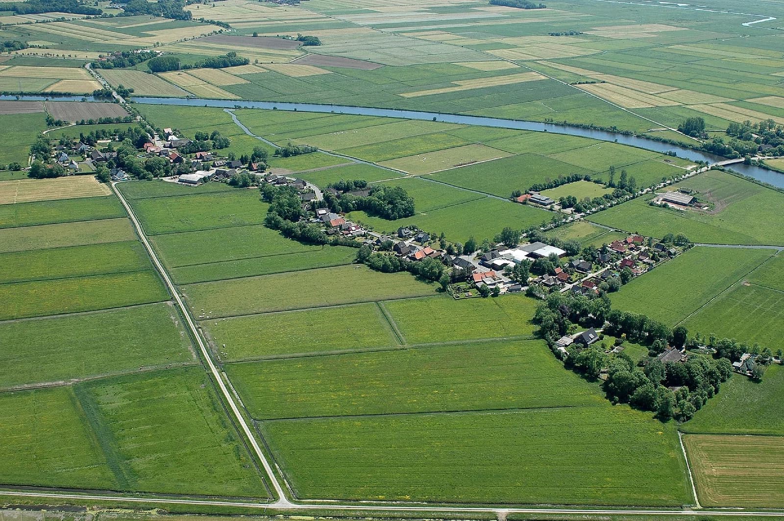 Büttel