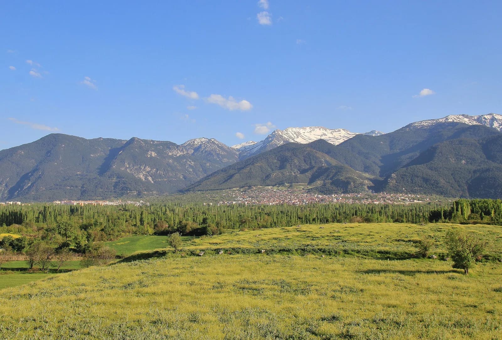 Honaz district