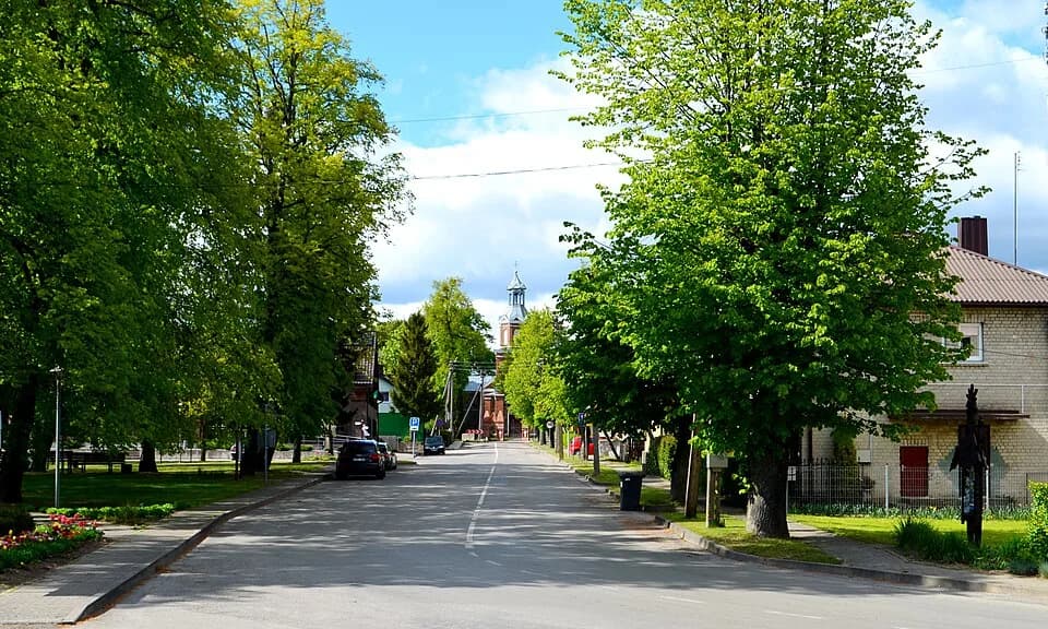 Vištytis