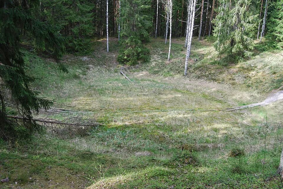 Orava