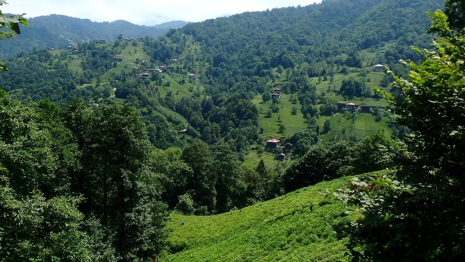 Hemşin