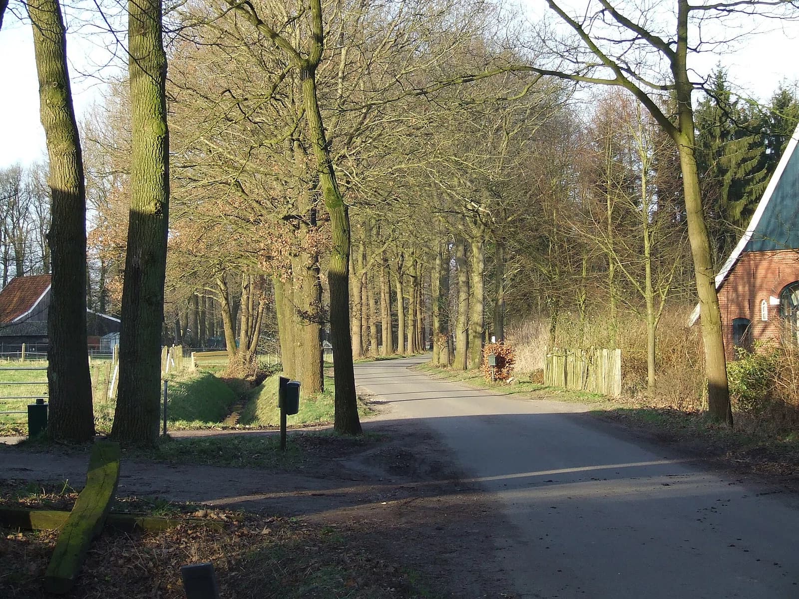 Kotten