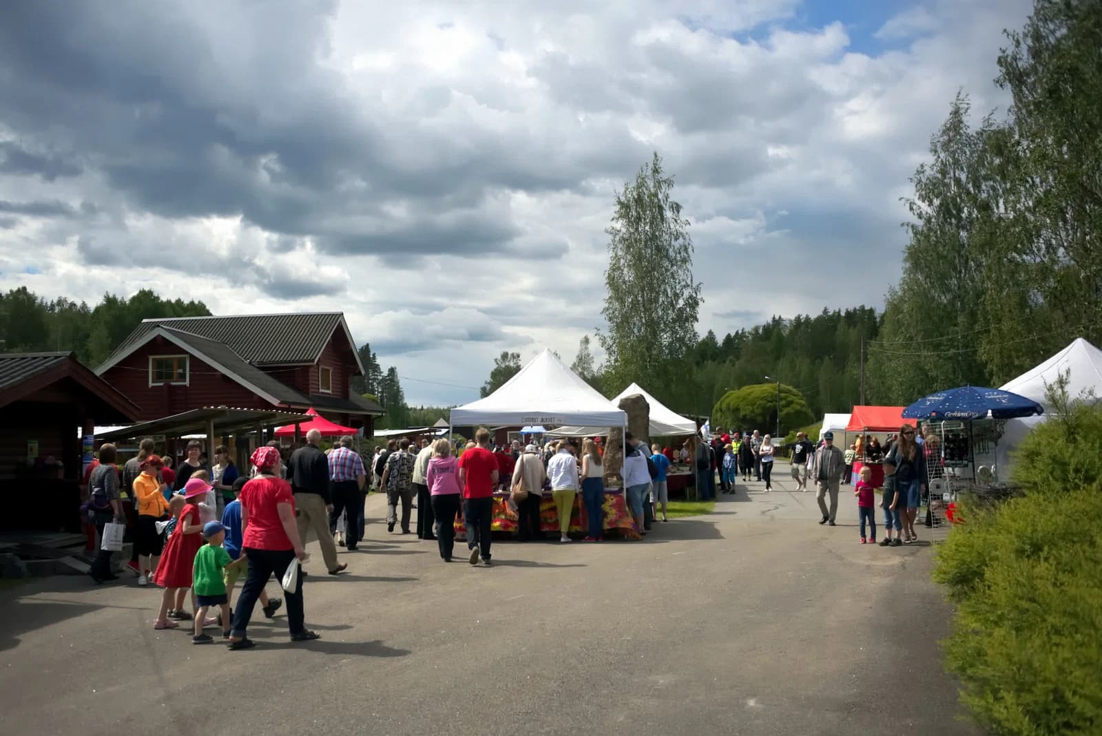 Ylämaa