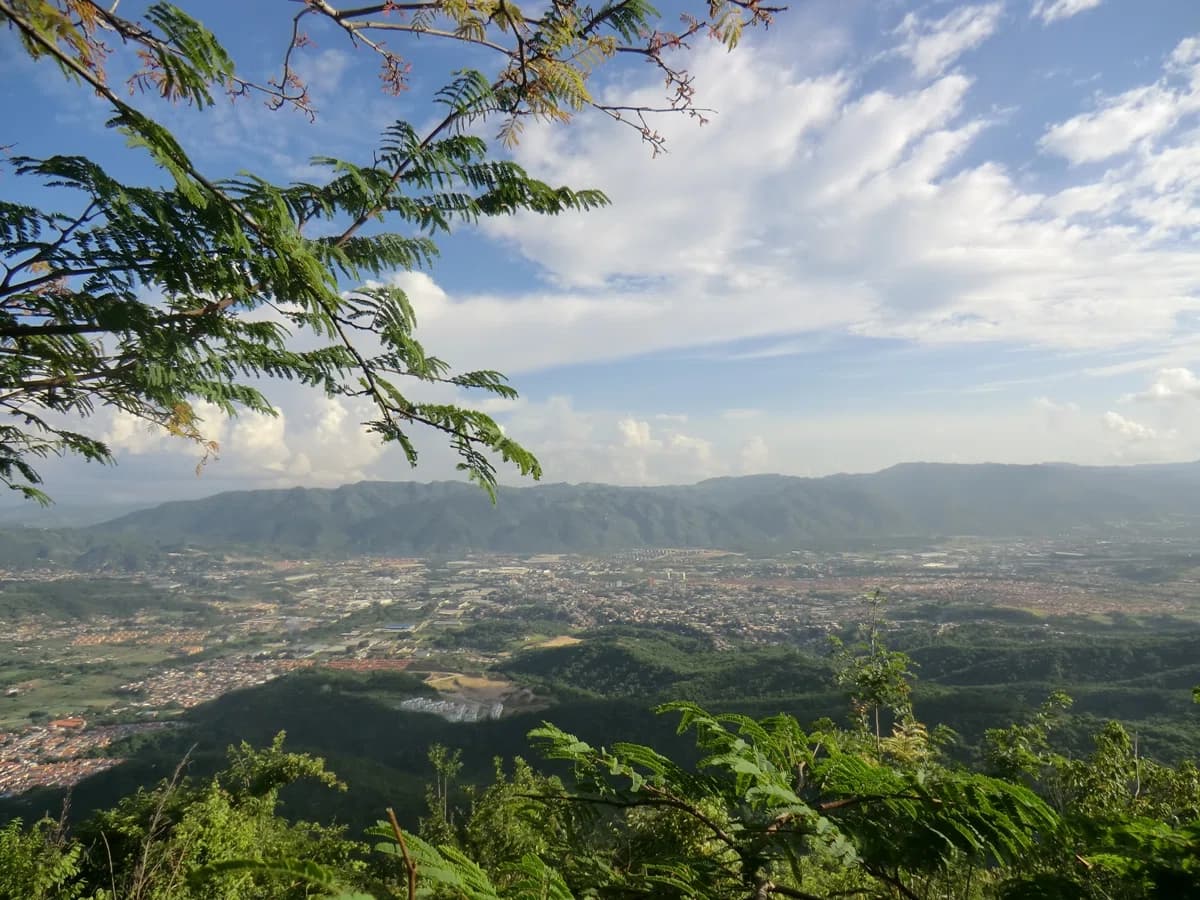 Guatire