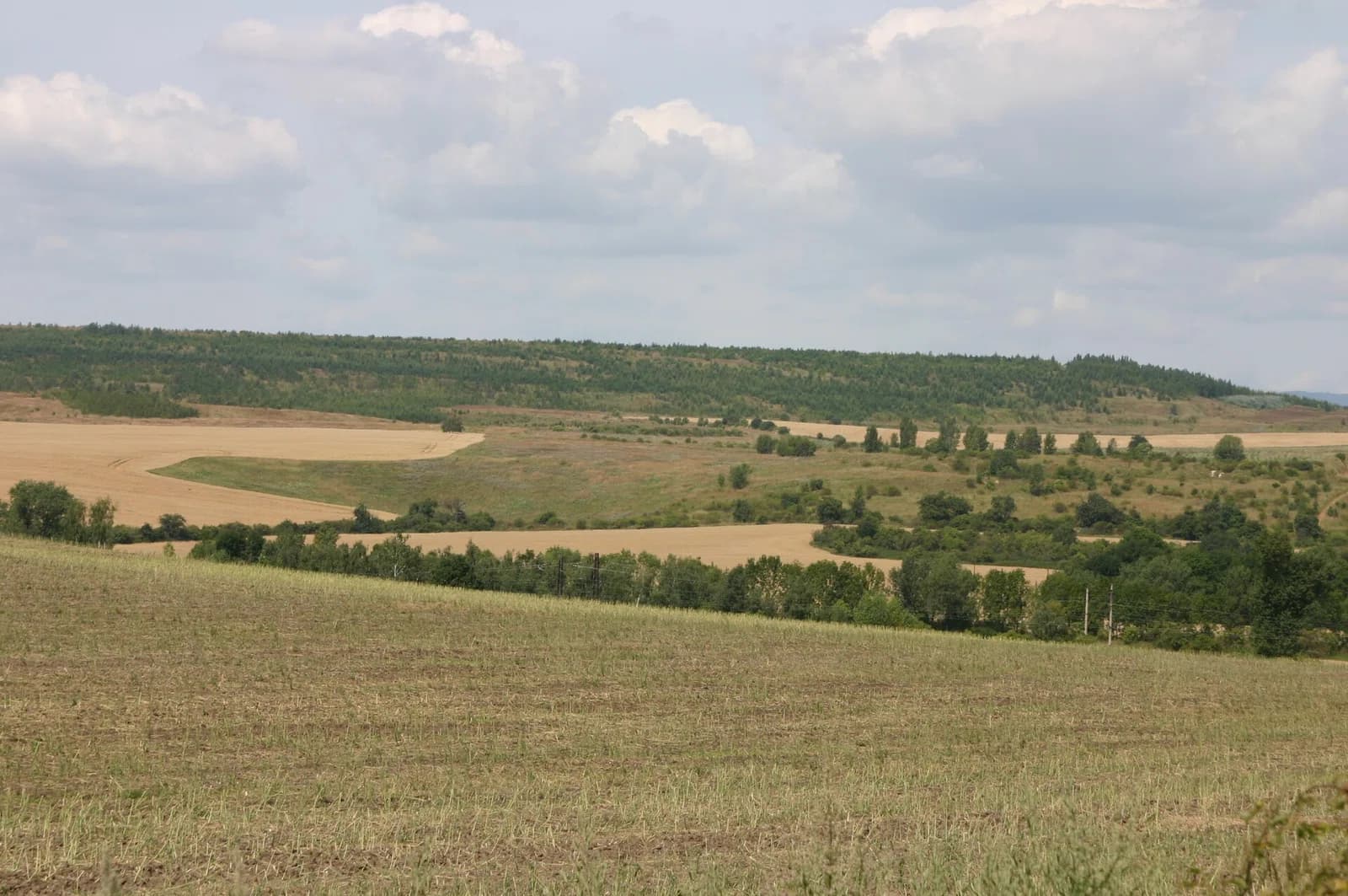 Židovice