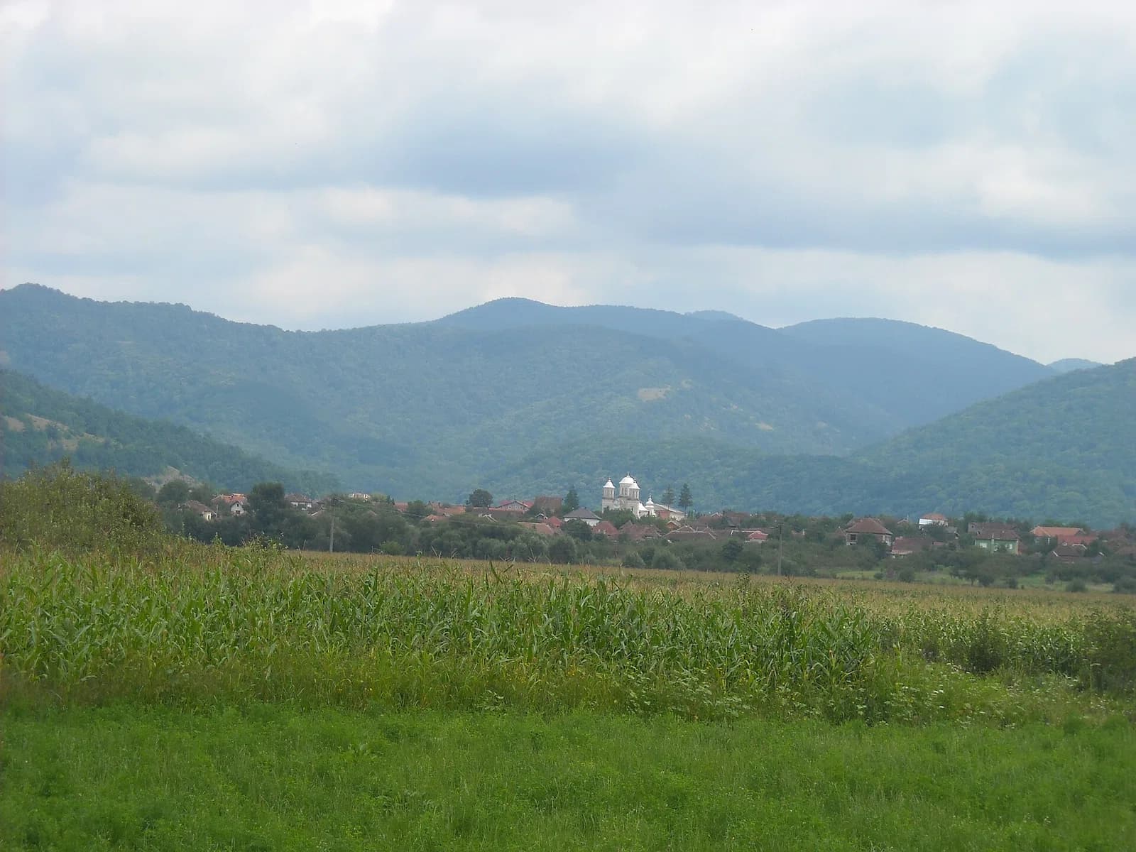 Gurahonț