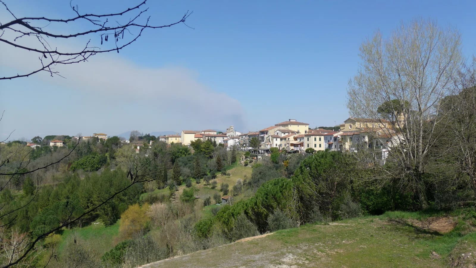 Fauglia