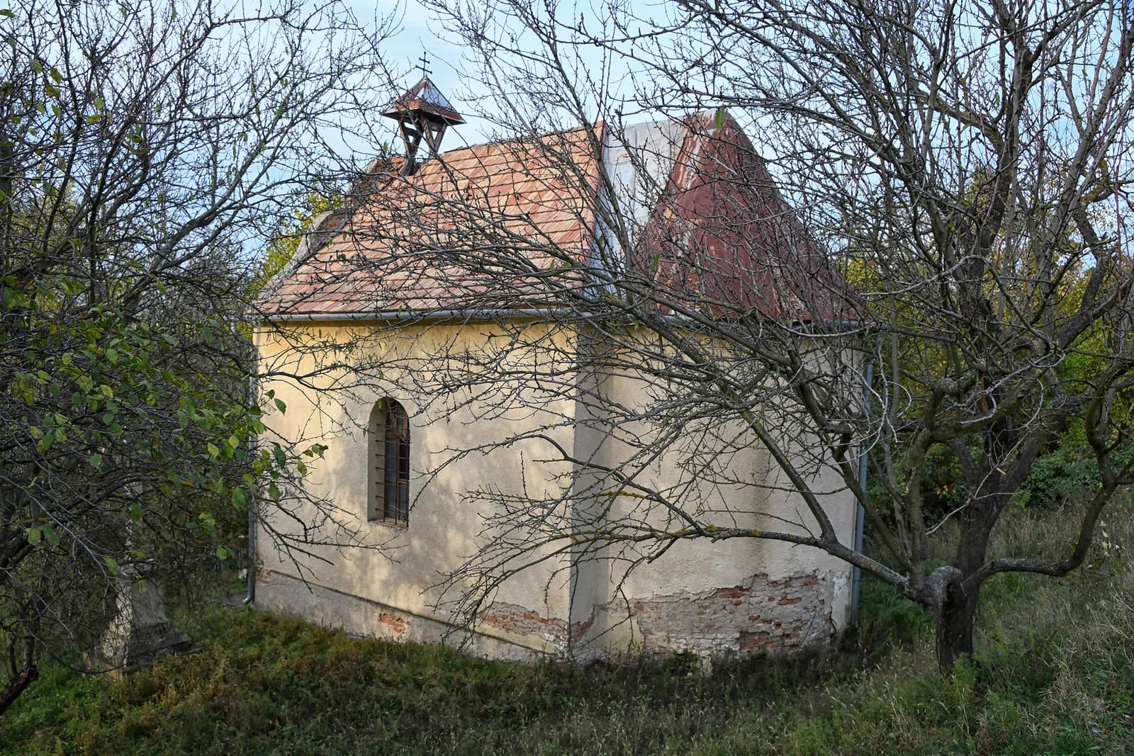 Görbő