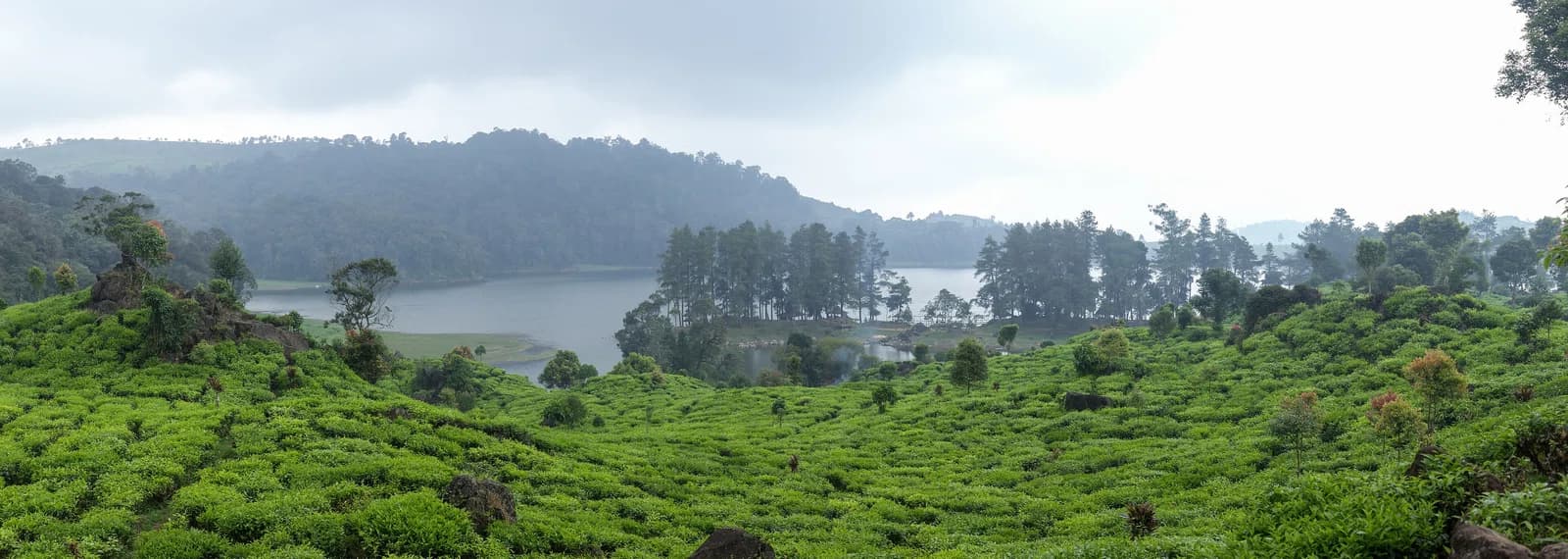 Bandung