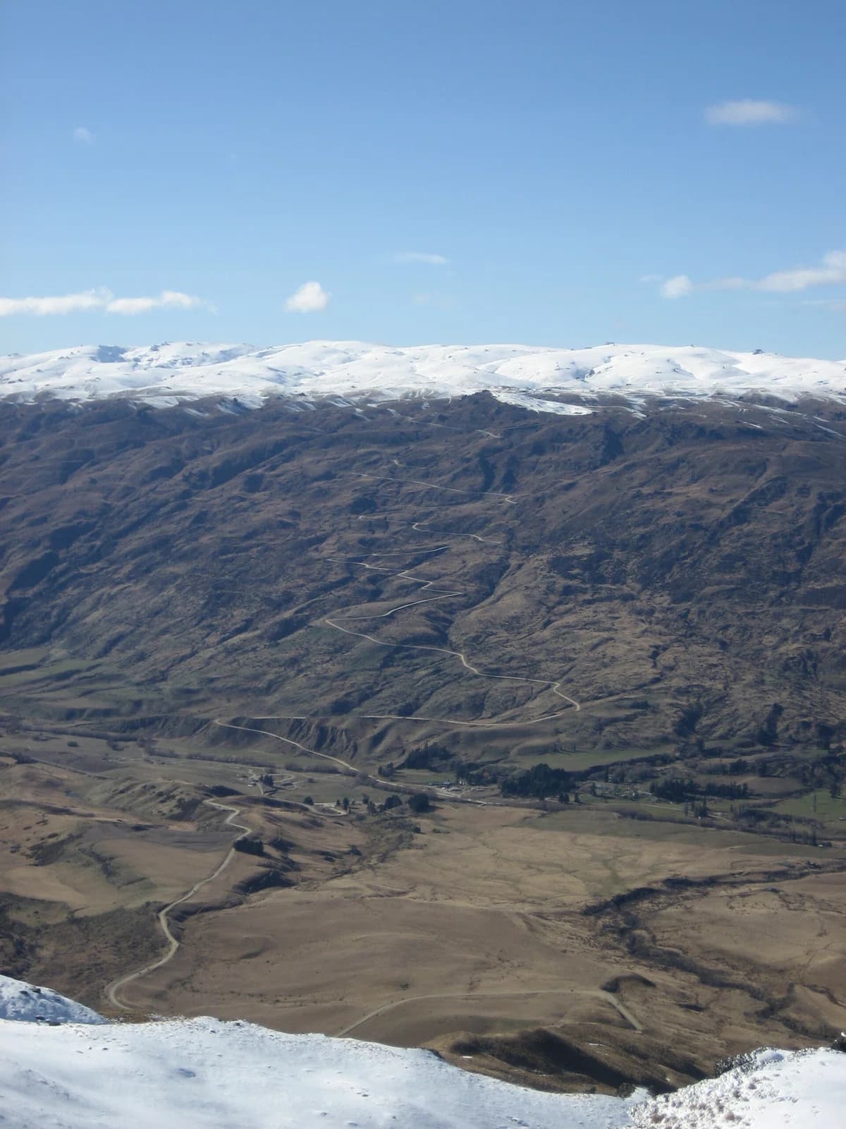 Cardrona