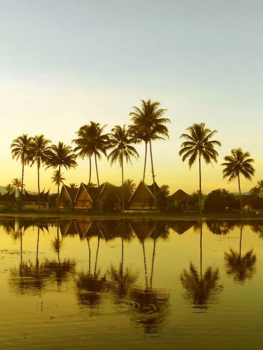 Garut