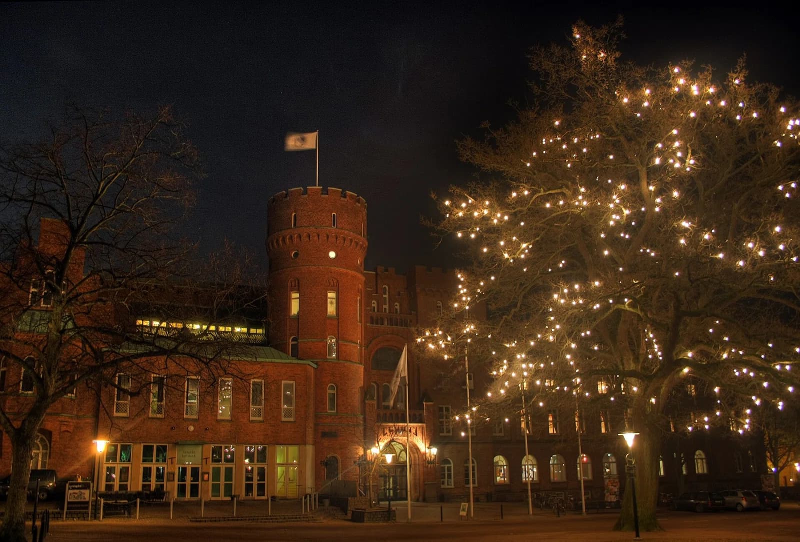 The Academic Society