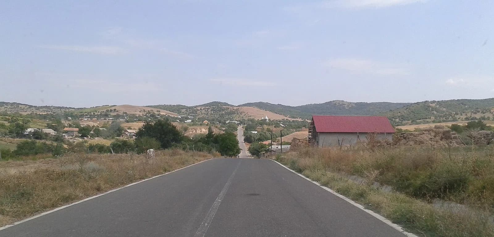 Peceneaga