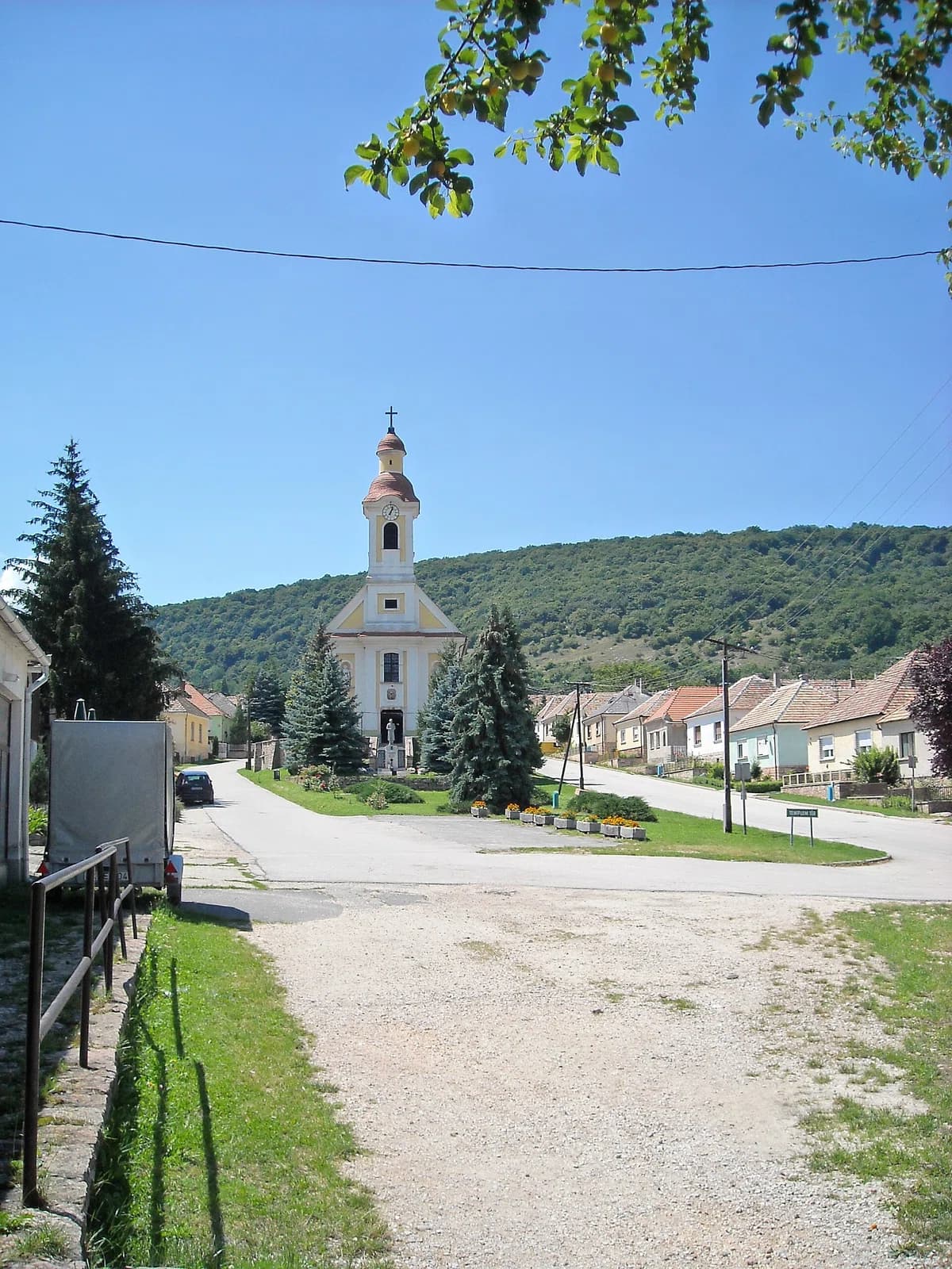 Tardos