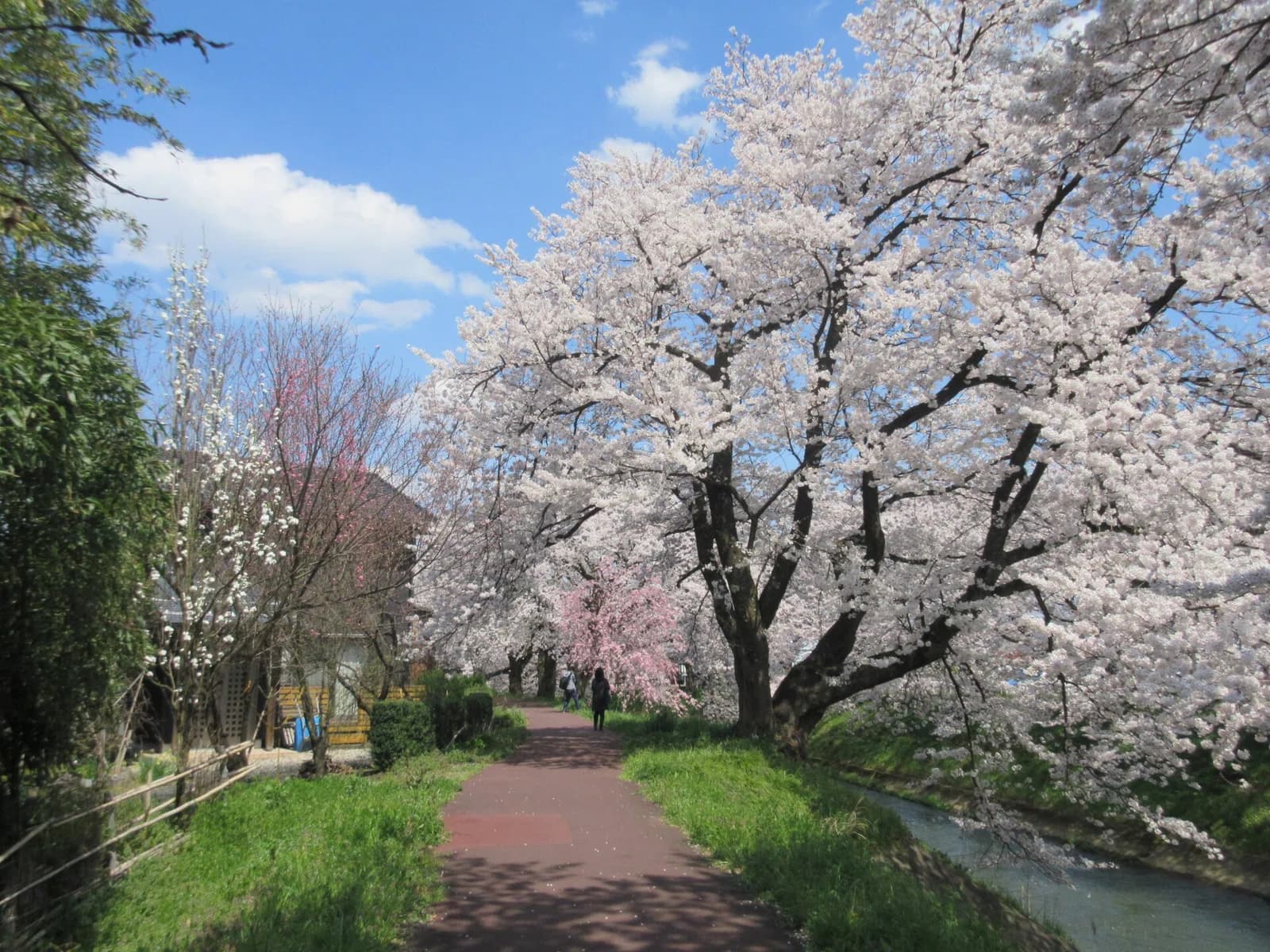 Echizen Province