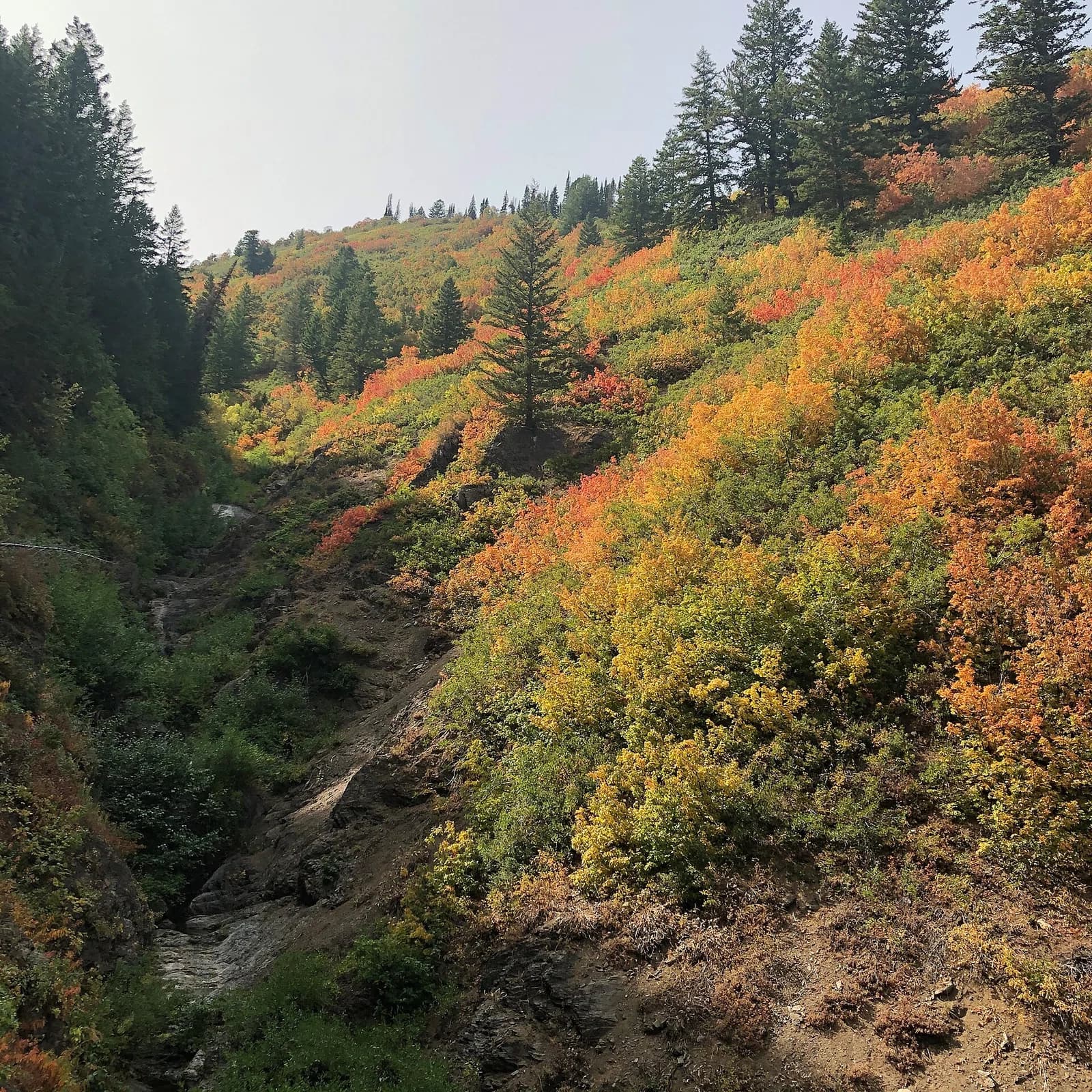 Ogden Valley