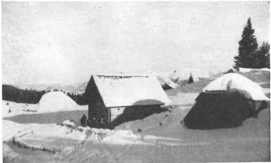 Mošenjska planina