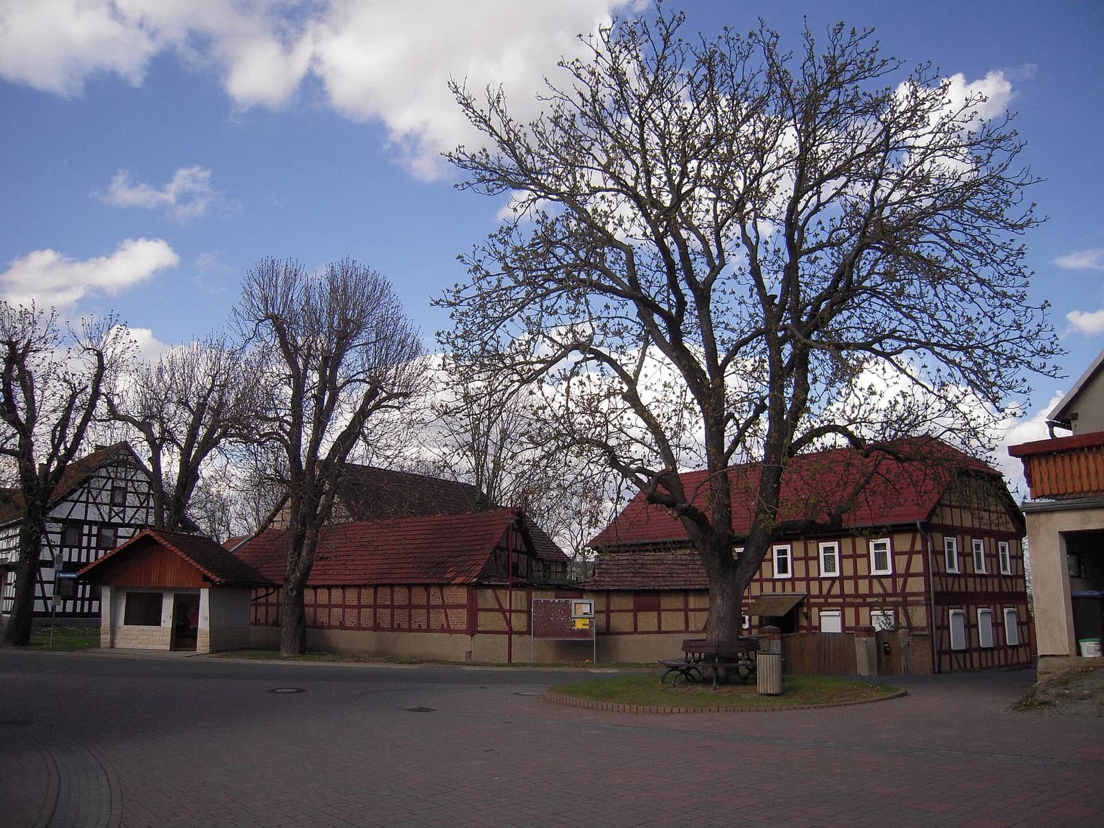 Catharinau