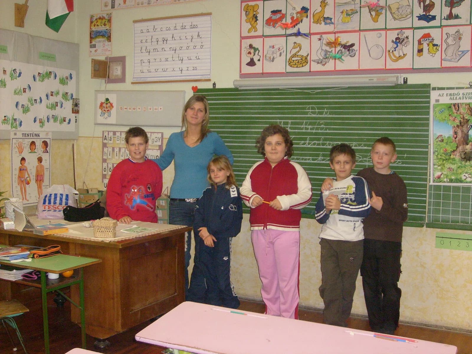 primary school teacher