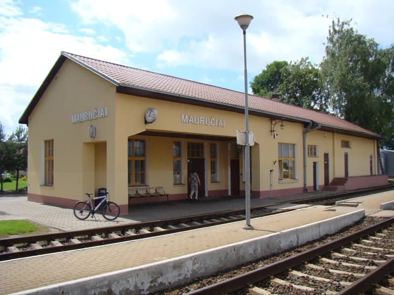 Mauručiai