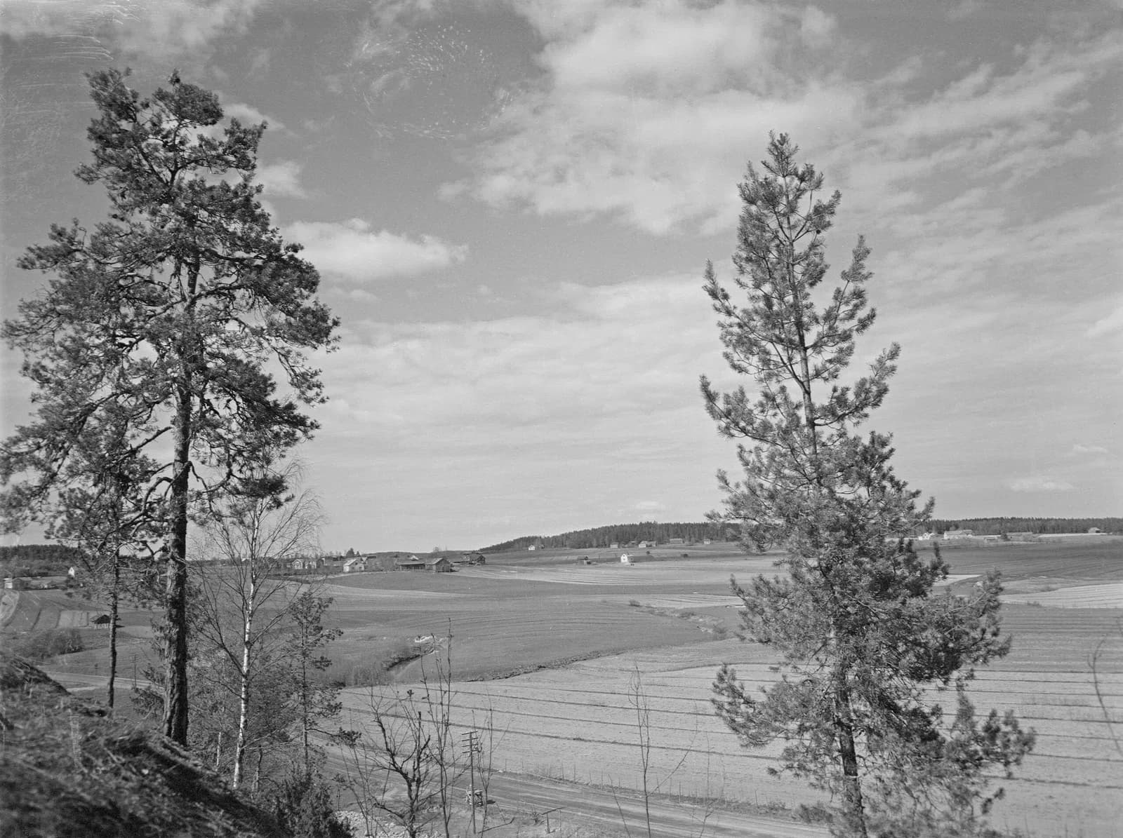 Palojoki