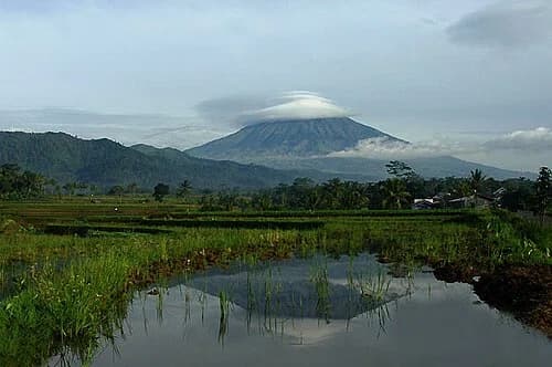 Magelang