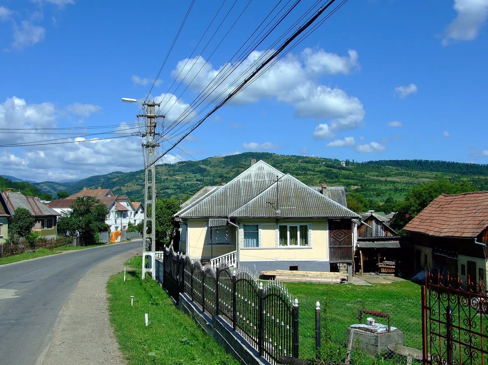 Salva