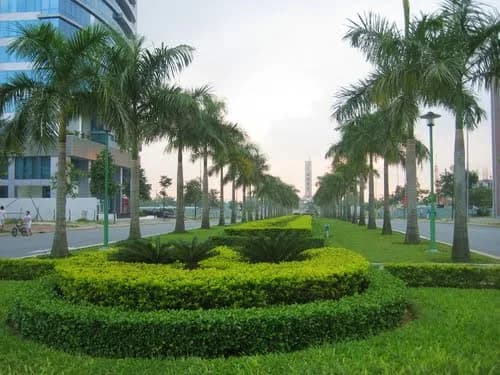 Hải Châu