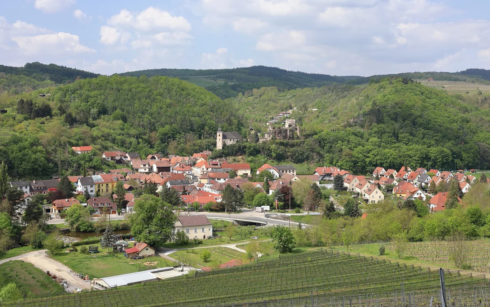 Rehberg
