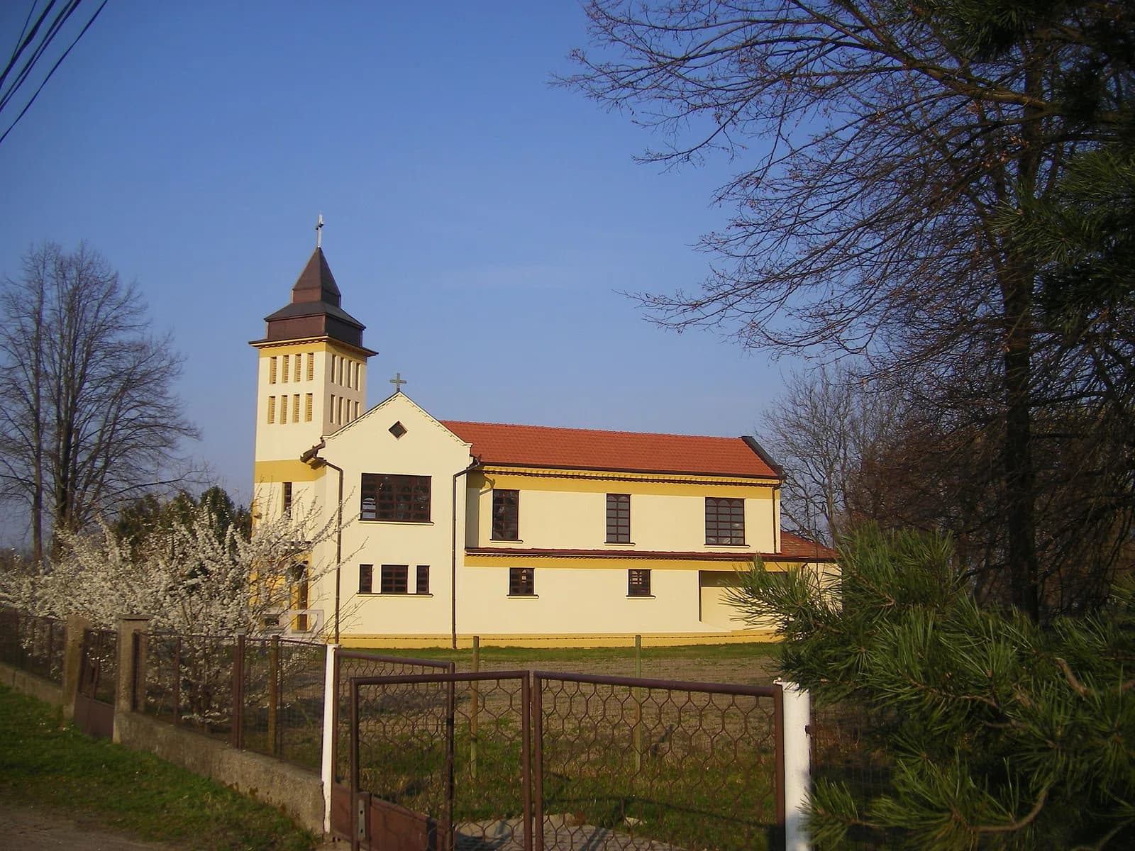 Lipové