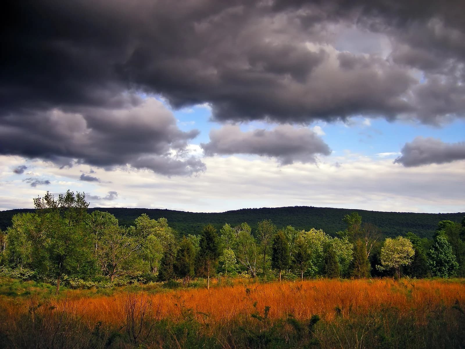 Sandyston Township