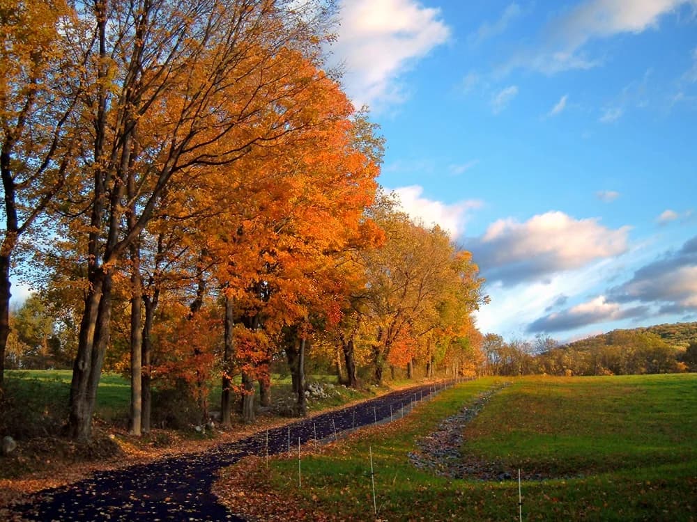 Fredon Township