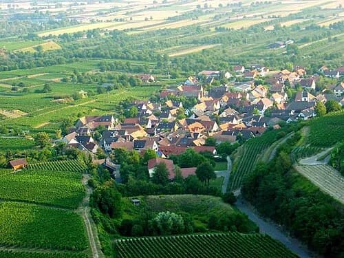 Leiselheim