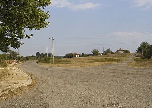 Vizitsa