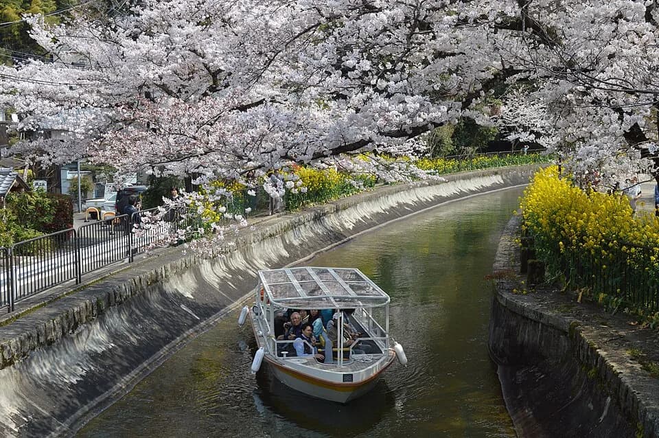 Yamashina-ku
