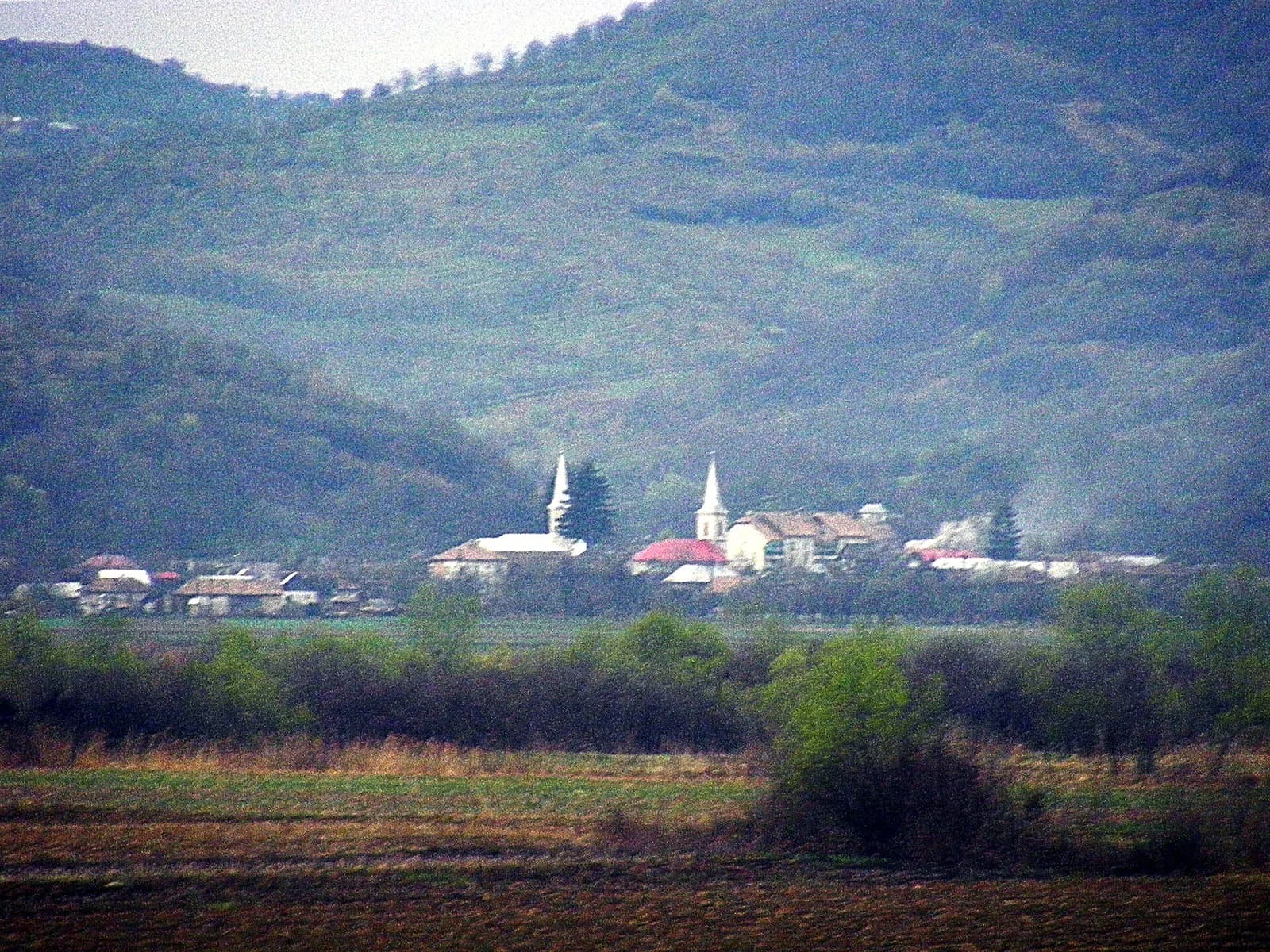 Braniștea