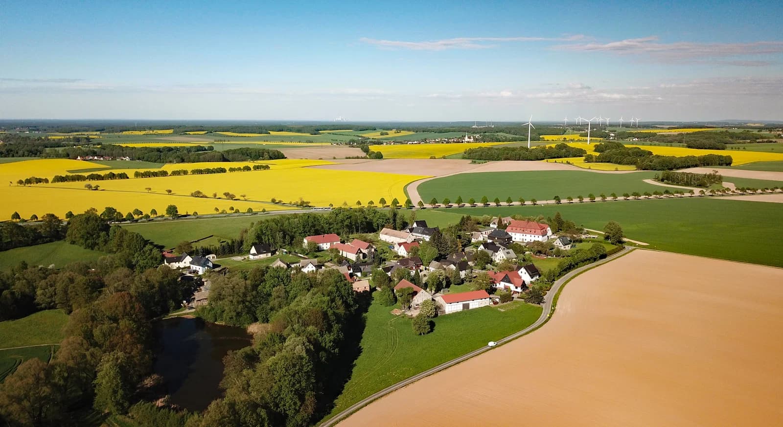 Schweinerden