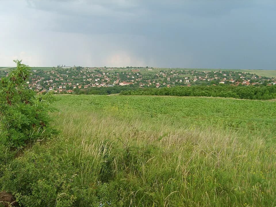 Lesura