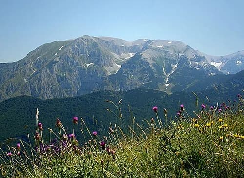 Maiella