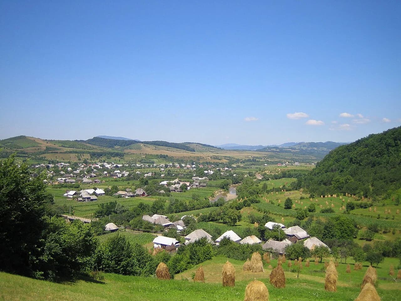 Lăpuș