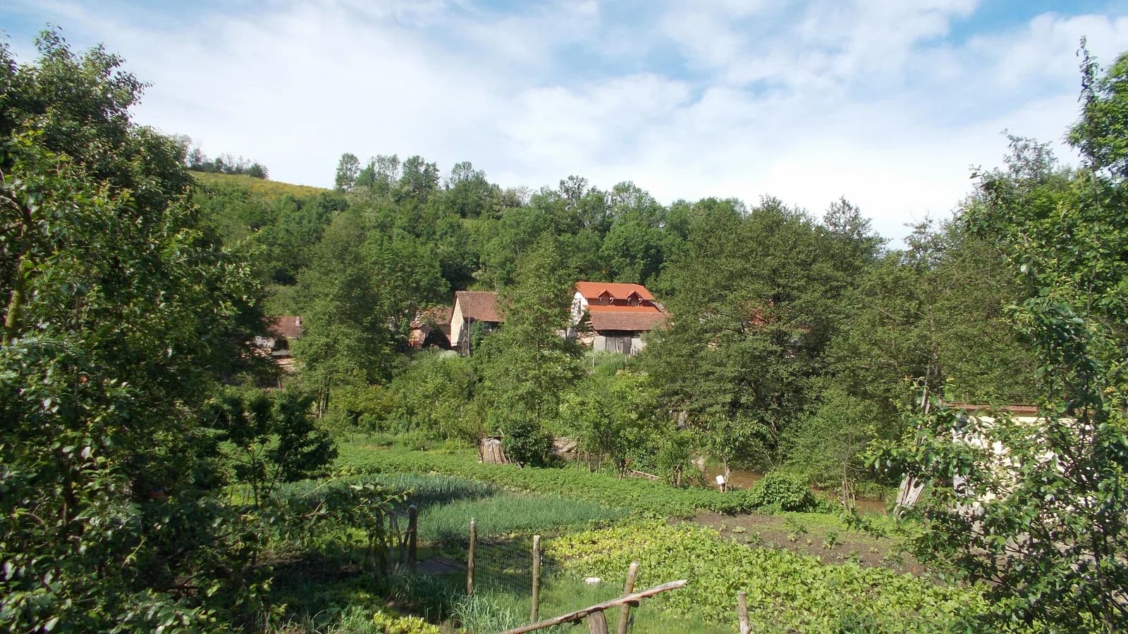 Prigor
