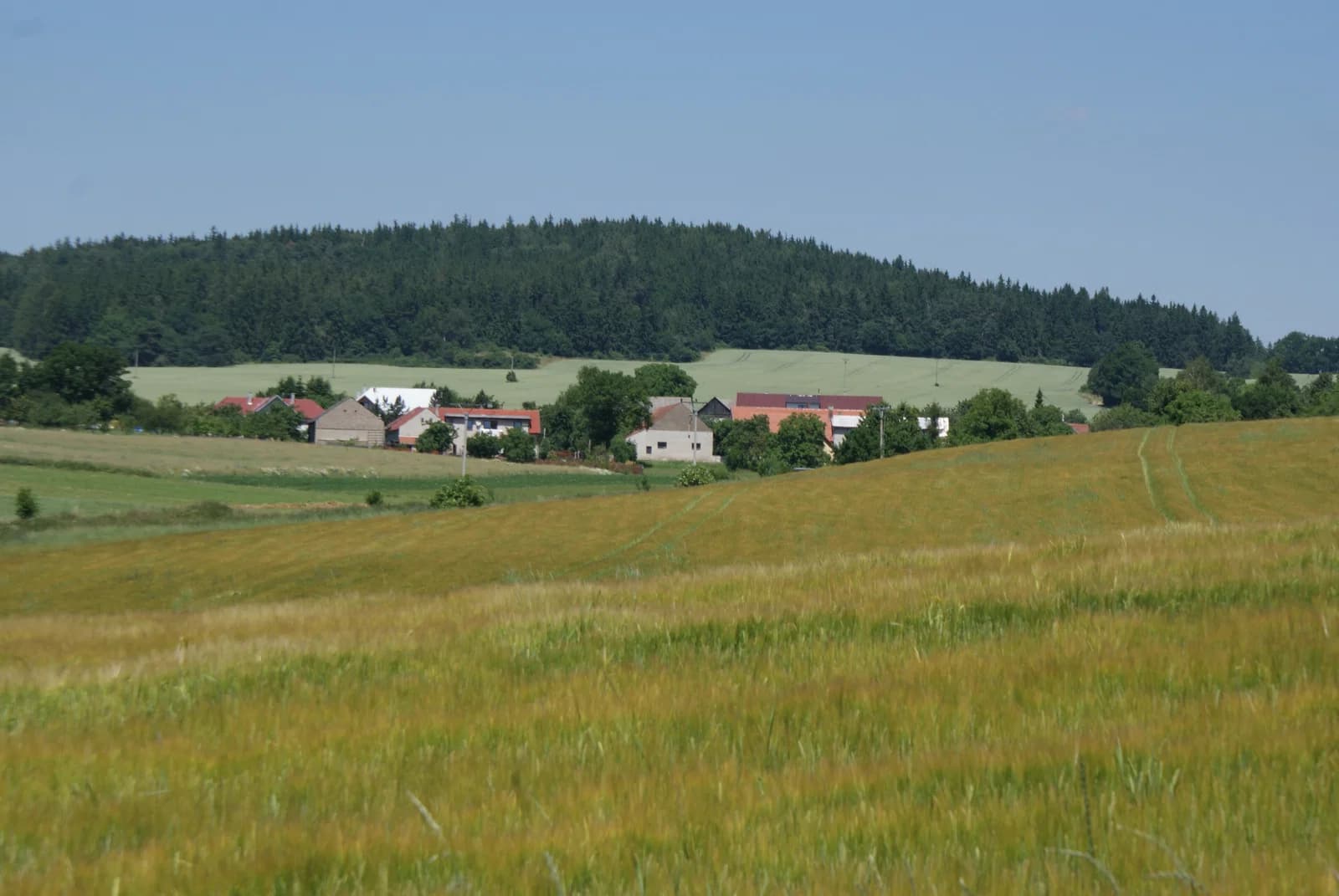 Zavržice